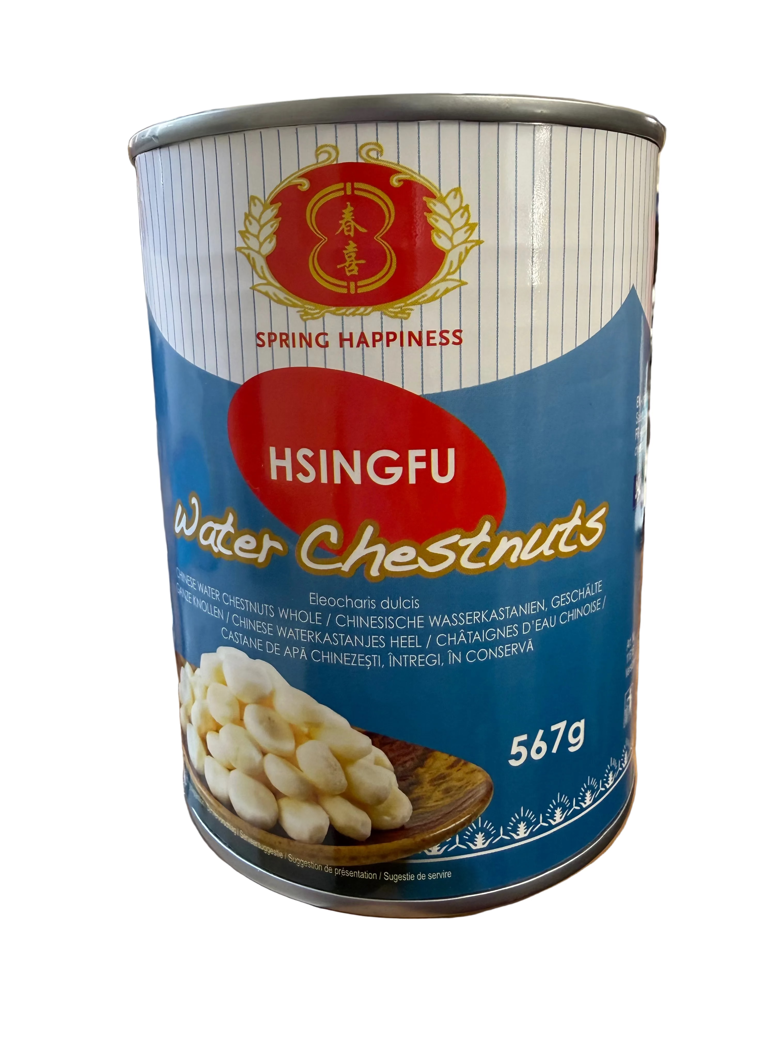 Water chestnuts 567g