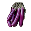 Violet Brinjal long- 1kg