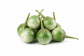 Eggplant Green -1kg