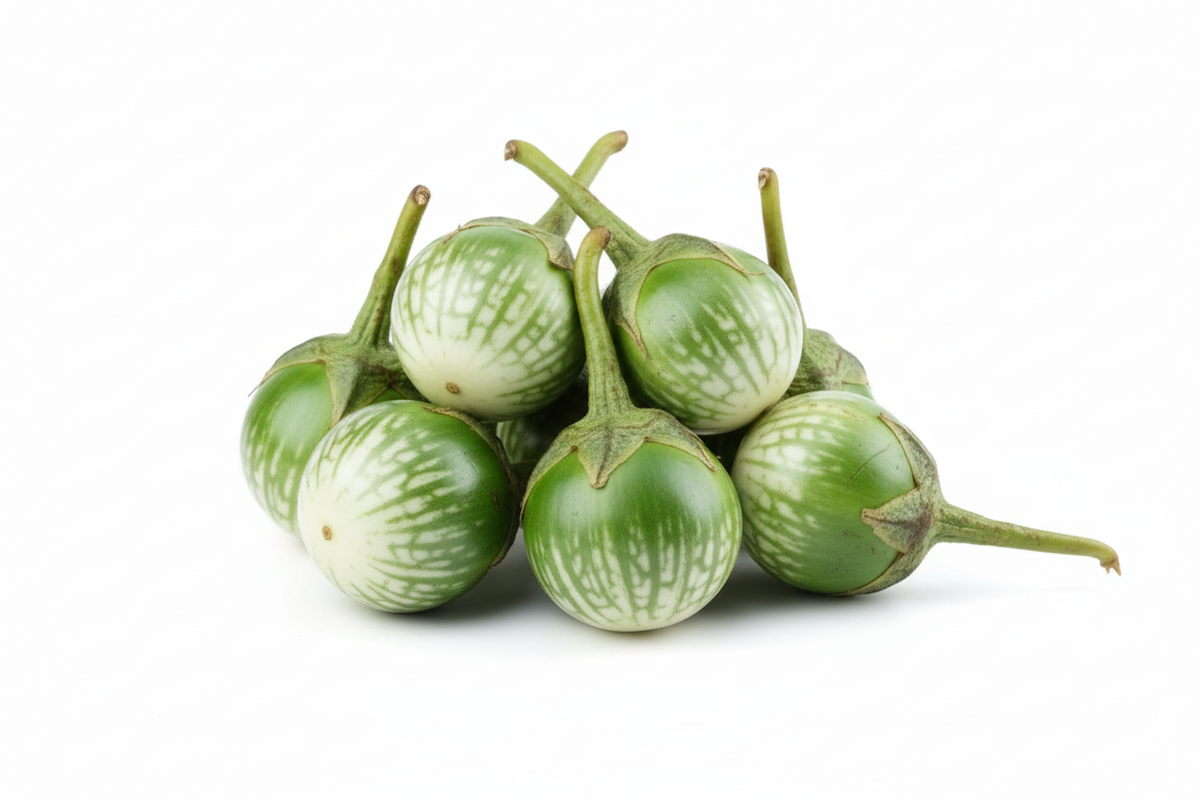 Eggplant Green -1kg