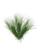 Durva Grass-1Kg