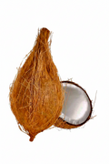Pooja Coconut - 1pc