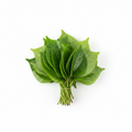 Beetle Leaves - 1Pc