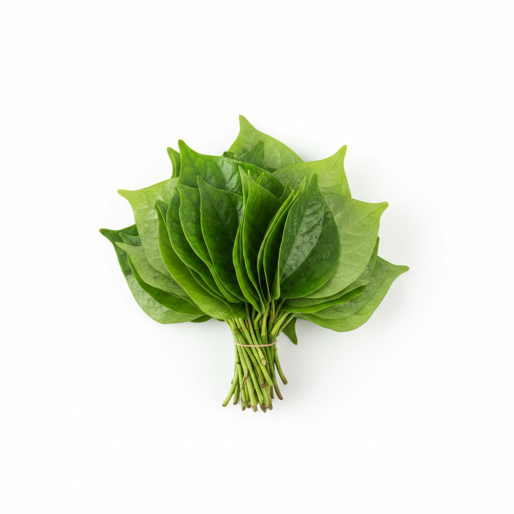 Beetle Leaves - 1Pc