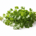 Coriander Leaves-1 bunch