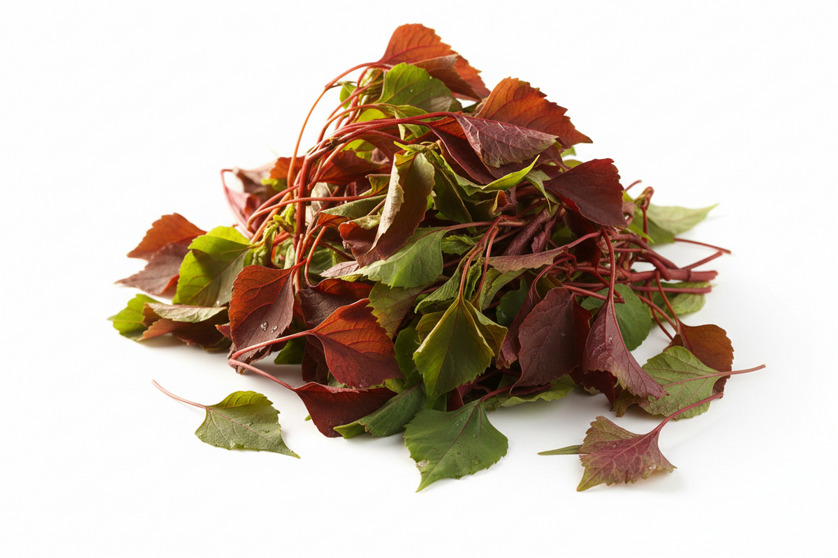 Gongura-1kg