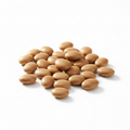 Jackfruit seed-1kg