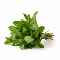 Mint Leaves-1 bunch